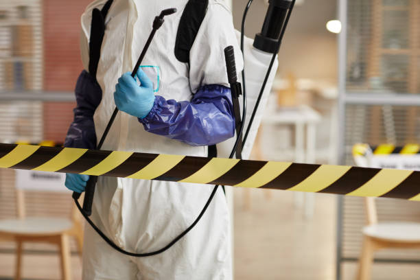 Professional Hoarding Cleanup technician working in Portland, TX